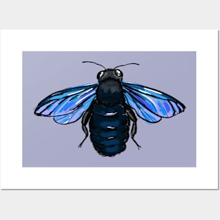 violet carpenter bee Posters and Art